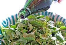 Landesprämierung Steirisches Kürbiskernöl Kernöl-Proben können zwischen 9. und 20. Jänner zur Prämierung eingereicht werden.