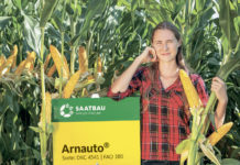 Die besten Körnermaissorten für Niederösterreich Arnauto ist neu im Angebot der Saatbau Linz.