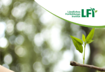 Neuer Folder hilft, Wälder “klimafit” zu machen Der Folder gibt kurz gefasste Tipps.
