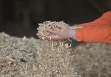 Graz wird zum Zentrum der Bioenergiebranche Die nachhaltige