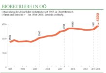 Auf Erfolgskurs: Anzahl Biobetriebe steigt erneut
