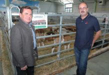 Tag der Rinderzucht 2017 im Burgenland Rinderzuchtverbandsobmann KR Reinhard Jany (l.) mit Geschäftsführer Hannes Lehner