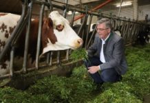 Investitionsförderung wurde stark vereinfacht