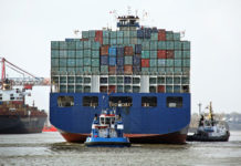 EU soll Fleischimporte aus Brasilien stoppen