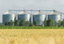 Was treibt die globalen Agrarmärkte? (Teil 2)