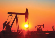 Was treibt die globalen Agrarmärkte? (Teil 3)