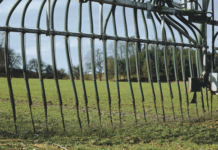 Wirtschaftsdünger: Wirkung bei Düngerberechnung mit einbeziehen Bodennahe Gülleausbringung wird im ÖPUL gefördert.