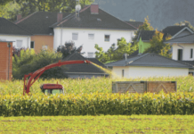 Im Rückwärtsgang zum Erfolg Reinhard Födermayr (l.) und Georg Landerl holten sich unter 24 österreichweiten Einreichungen den Sieg.