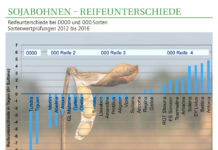 Sojabohne – passende Sorten zum Anbau 2017