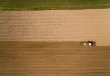 Agrarkonzerne – Wer die Saat hat, hat das Sagen Getreideaussaat im Frühjahr - den Saatgut- und Pestizidmarkt dominieren weltweit sieben Konzerne
