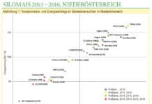 Energie aus Silomais