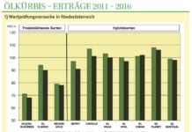 Ölkürbis pendelt zurück