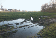 Boden unter Druck: Vermeiden von Verdichtungen und Fahrspuren Feuchte Böden dürfen keinesfalls befahren werden. Vor allem im Frühjahr ist dies oft eine Geduldsfrage.