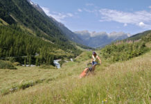 Bergerzeugnis-Label soll bessere Preise bringen Das Qualitätslabel Bergerzeugnis für Produkte