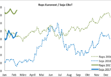 Terminmarkt international: Raps im Aufwind, Weizen verhalten, Mais überraschend freundlich