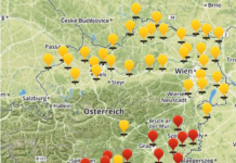 ExpertService Raps Rapsglanzkäfer jetzt im Zuflug