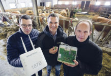 Ein Sensor, der das Ohrwackeln entschlüsselt