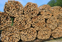 Holzmarkt – laufend frischer Bedarf