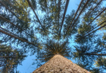 Einforstungsverband tagt im Gasteinertal