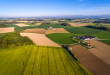 Studie: Das Wiederbeleben brachliegender Immobilien schafft Arbeitsplätze und reduziert Bodenverbrauch