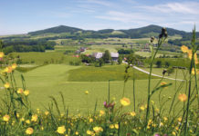 EU-Jahresvorschau: Direktzahlungen bleiben unbestritten