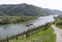 Terminmarkt International: Prognosen deuten auf erneut hohe Ernten hin