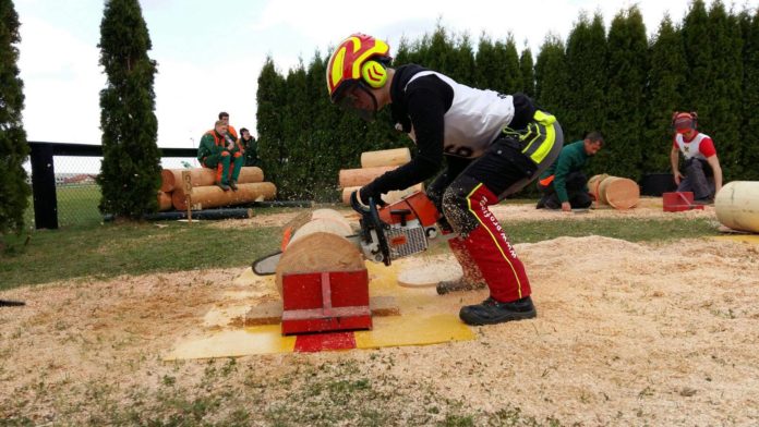 17855344 1302946673115591 5434160743983125501 O