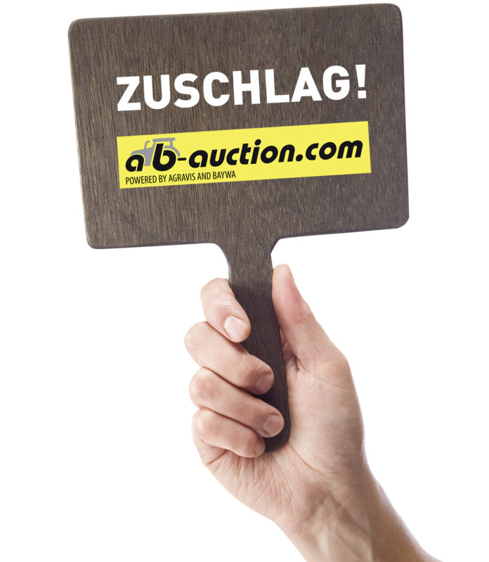 Ab Auction