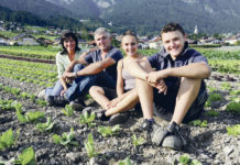 Die Bauernkiste kommt ins Haus