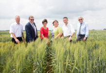 Saatgut Austria: Z-Saatgut ist Rendite für Landwirte