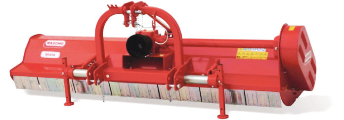 Maschio