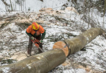 Anstellung inländischer Forstarbeiter durch heimische Betriebe verhindert Lohndumping