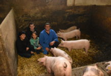 Nicht vom Weg abbringen lassen