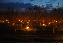 Frost in Oberösterreich: Ein blaues Auge, aber weiterhin Zittern