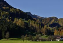 Vorarlbergs ländlicher Raum erhält zusätzliche Mittel