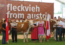 Die Rieder Messe will 2017 mit Tierzucht, Forst- und Landtechnik punkten