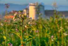 AMA überweist Restzahlungen von 2016