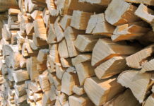 Frischholz ist gefragt