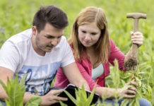 Großes Interesse an der GAP-Befragung