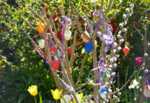 Die Online-Redaktion der BauernZeitung wünscht allen Leserinnen und Lesern ein gesegnetes Osterfest!