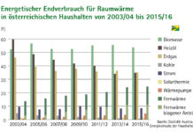 Zwei Millionen Haushalte in Österreich heizen mit Holz