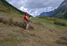 Forschungsprojekt untersucht körperliche Beanspruchung beim Handmähen