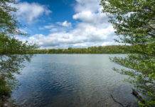 Schultes: Wer das Wasser hat, gestaltet die Zukunft