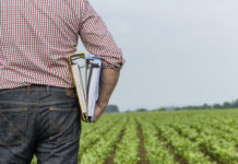 Bio Austria: Vorschlag zur Revision des EU-Biorechts nicht umsetzbar