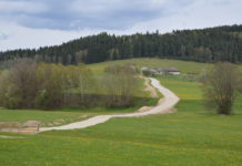 Humusabtrag ist „ein ökologischer Wahnsinn“