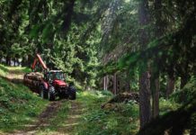 Bundesminister Rupprechter: Borkenkäferbekämpfung zeigt Wirkung