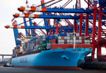 DBV: Agrarhandel mit Großbritannien offen halten