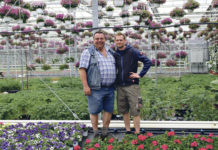 Blumen im Ab-Hof-Verkauf