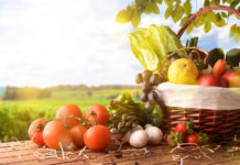 Wachstum bei Obst und Gemüse vorprogrammiert