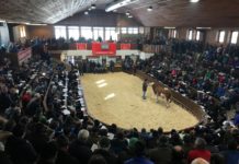 Gute Preise in Rotholz